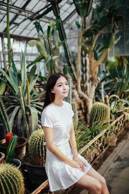 韩国免费观看高清电视剧熊出没