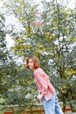 电影荷兰姑娘们