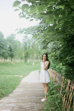 猫女的诅咒在线观看