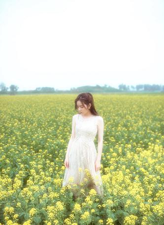 茶杯狐官方版官网