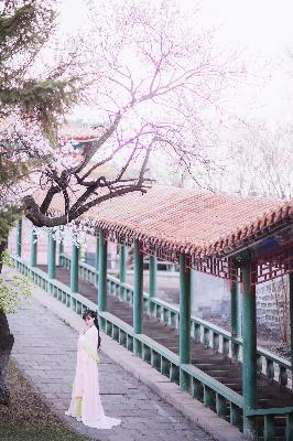 一笑随歌 电视剧