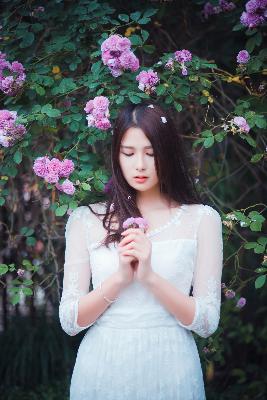 杨思敏1一5集国语版免费