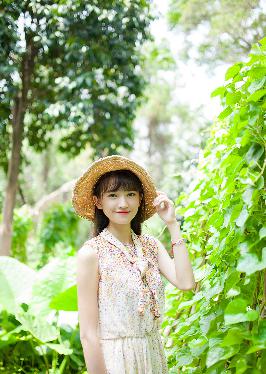 意大利不可触及完整版