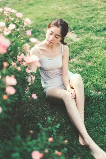 赴山海电视剧免费观看完整版